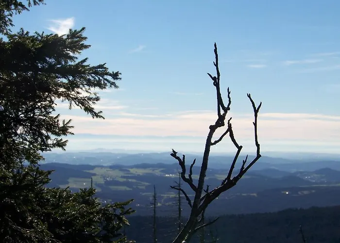 Gaestehaus Rachelblick *